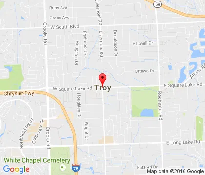 logo-image - Troy-MI